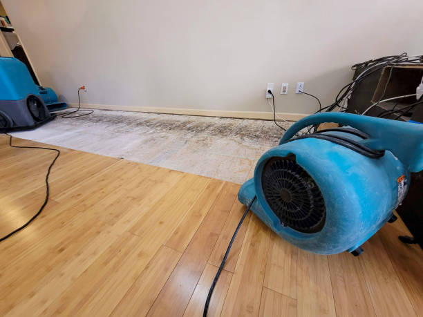 Professional Basement Flood Cleanup technician working in Birch Run, MI